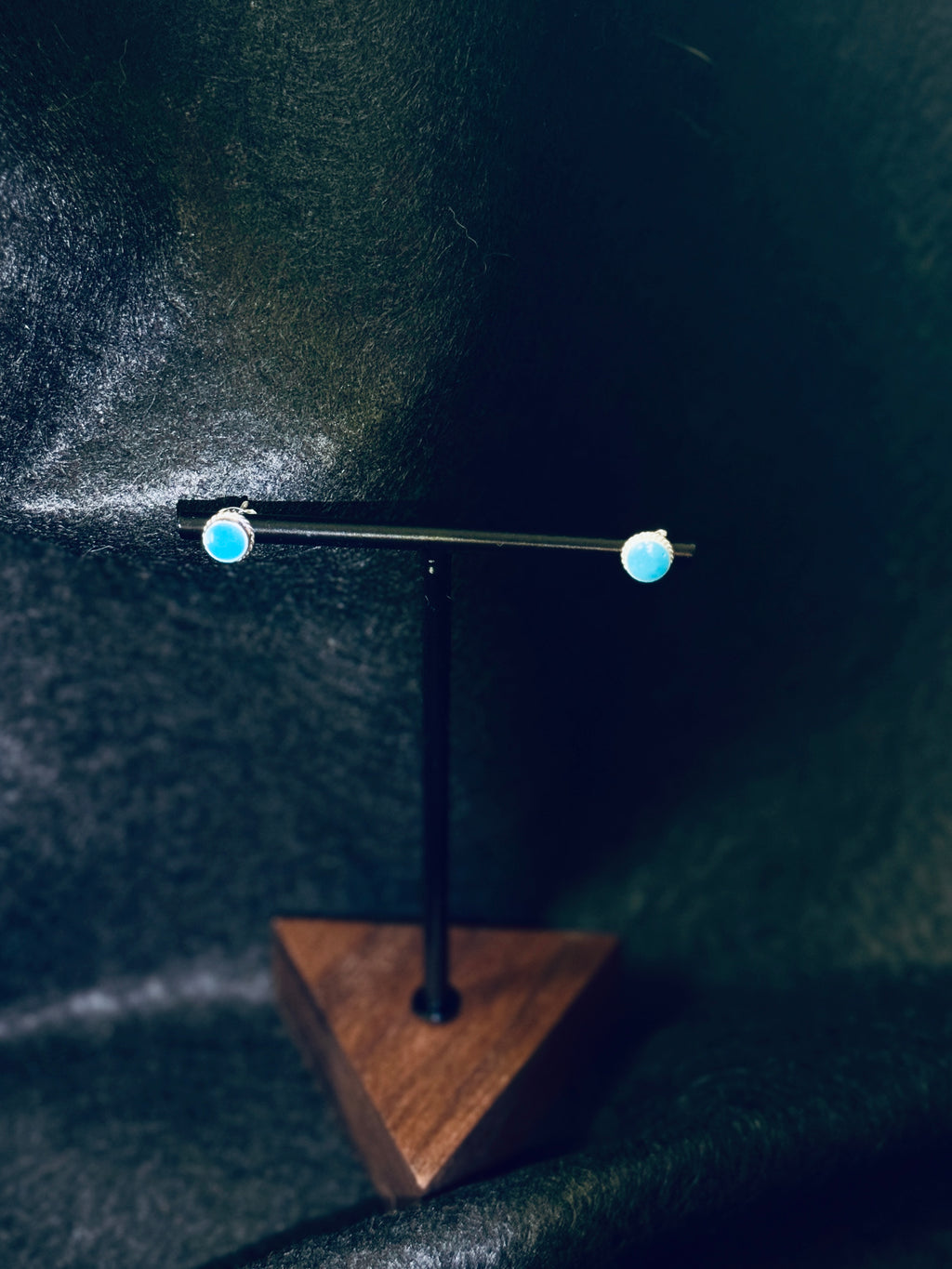 Star Ferry Rides Earring II